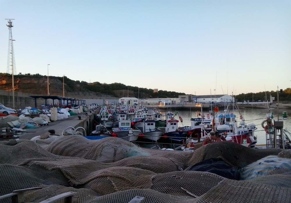 Profunda remodelación en el proyecto del Conil