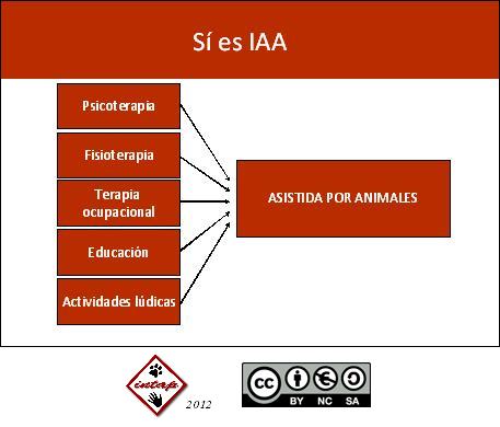 El uso de animales complementa, pero no define la intervención