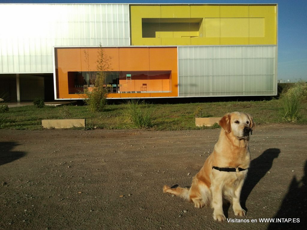 Ula a las puertas del edificio 45