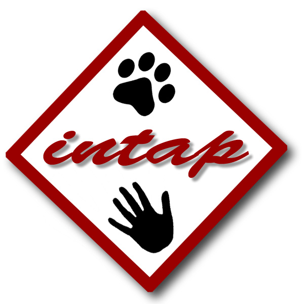 Logotipo de Asociación INTAP