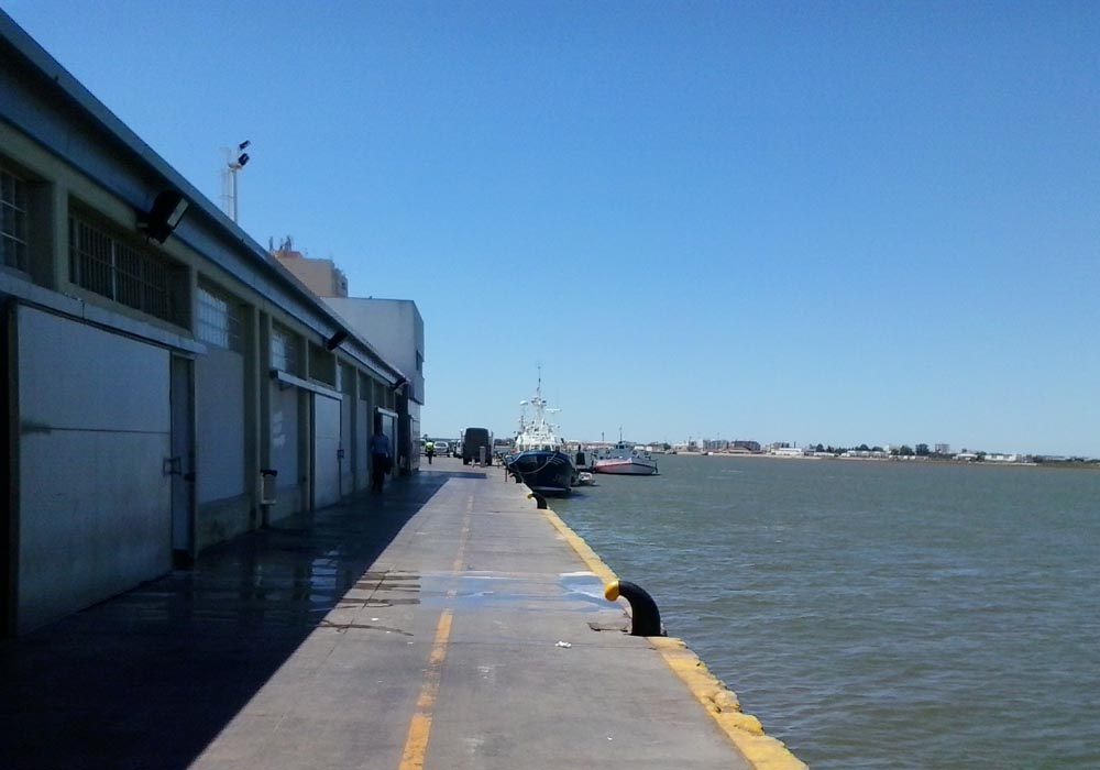 Vista del muelle y la lonja