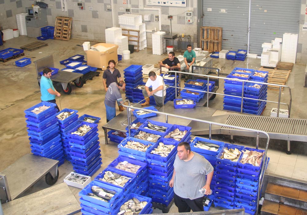 Colocando las cajas para la subasta