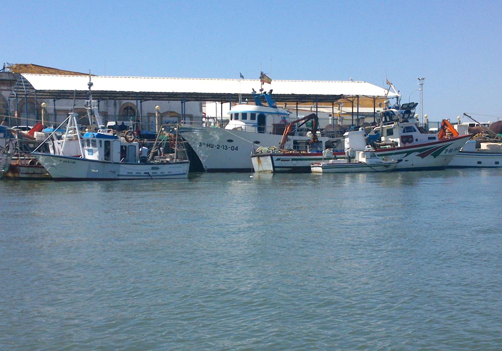 Embarcaciones en el muelle