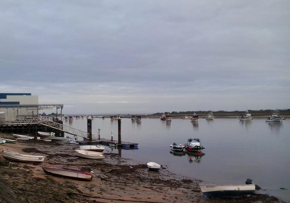 Vista del puerto desde el paseo marítimo