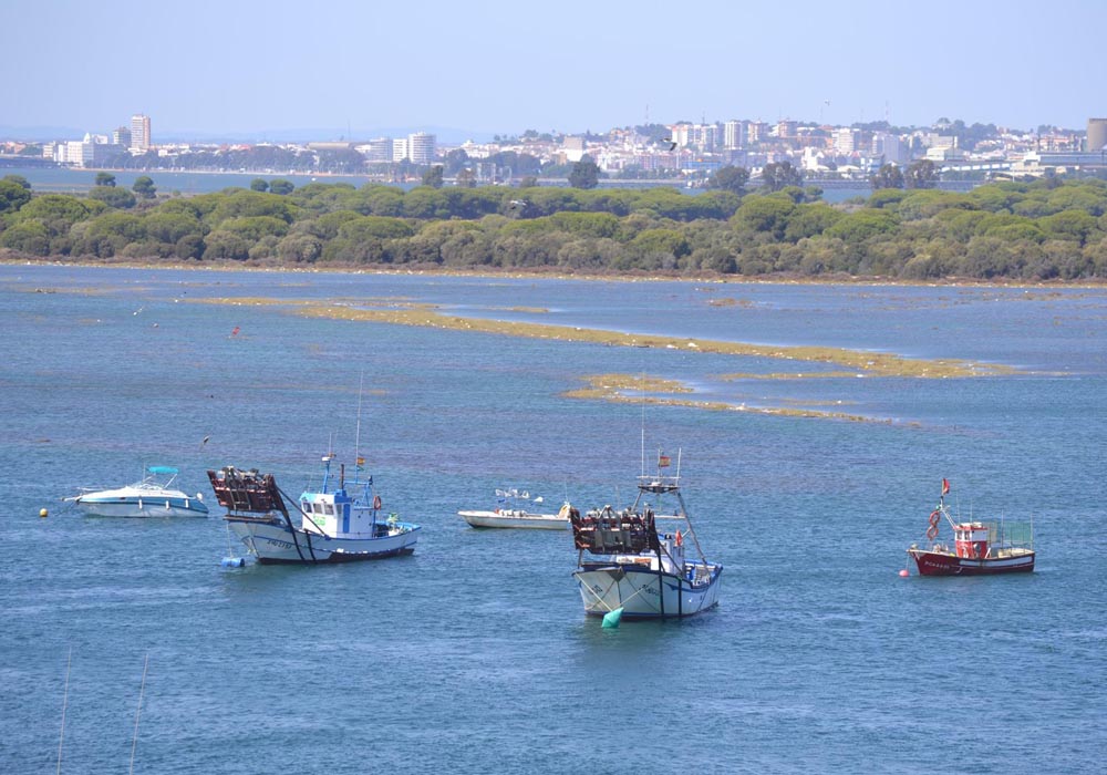 Panorámica de la Isla de Saltés y Huelva al fondo