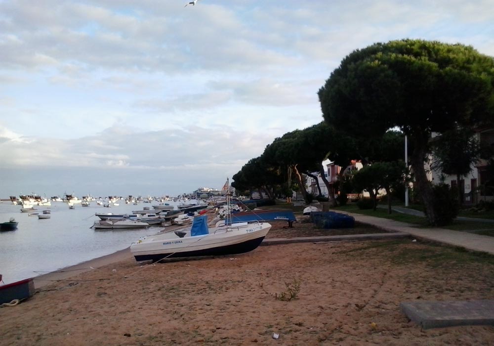 Vista del puerto desde la zona de varaderos