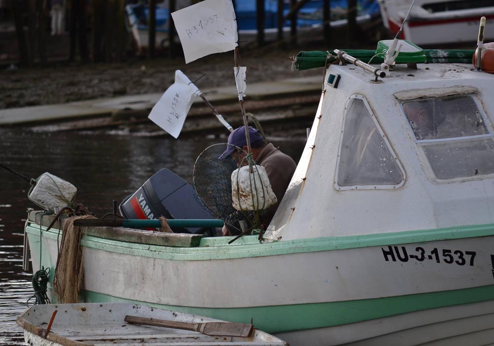 Pescador en embarcación de artes menores