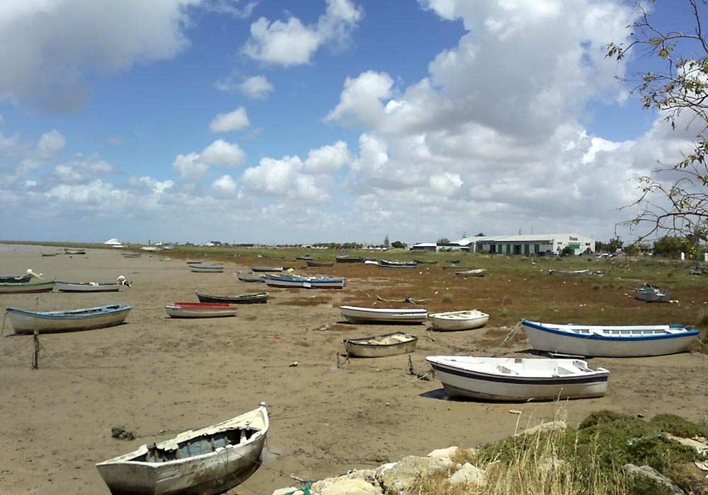 Barcas varadas al norte del puerto