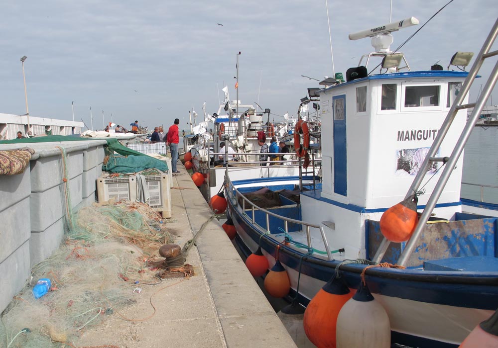 Embarcaciones y redes en el muelle pesquero