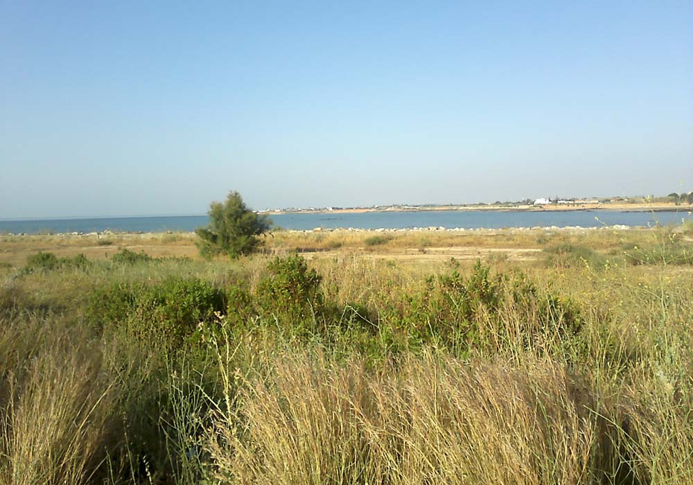 Vista de la playa Montijo desde el puerto