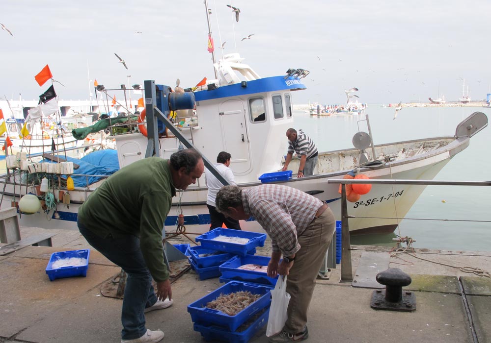 Descarga de pescado en el muelle