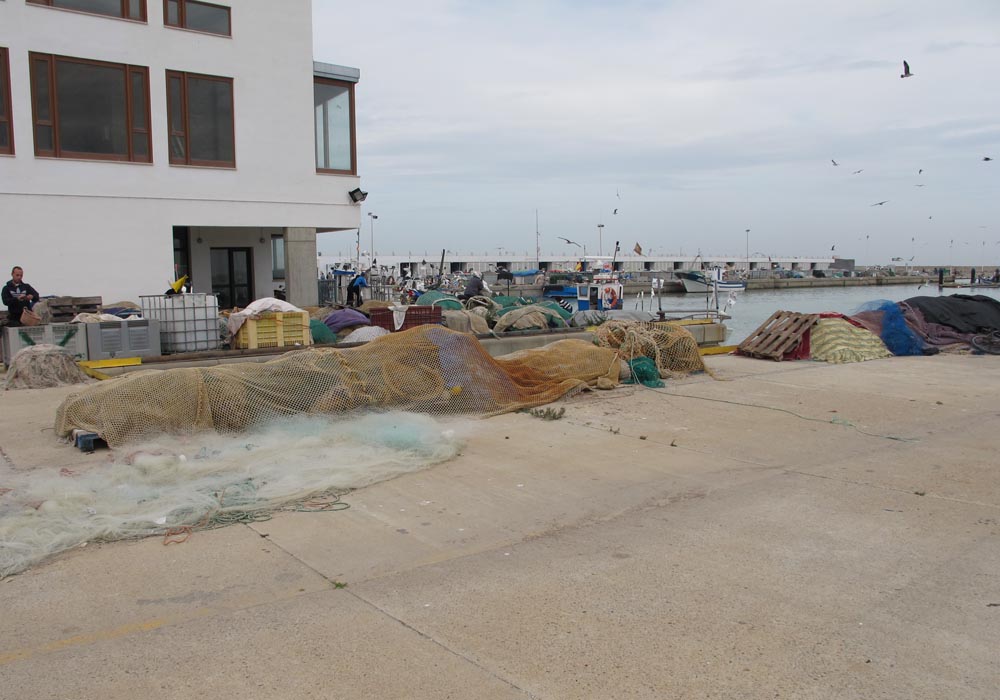 Redes en el muelle junto a la lonja