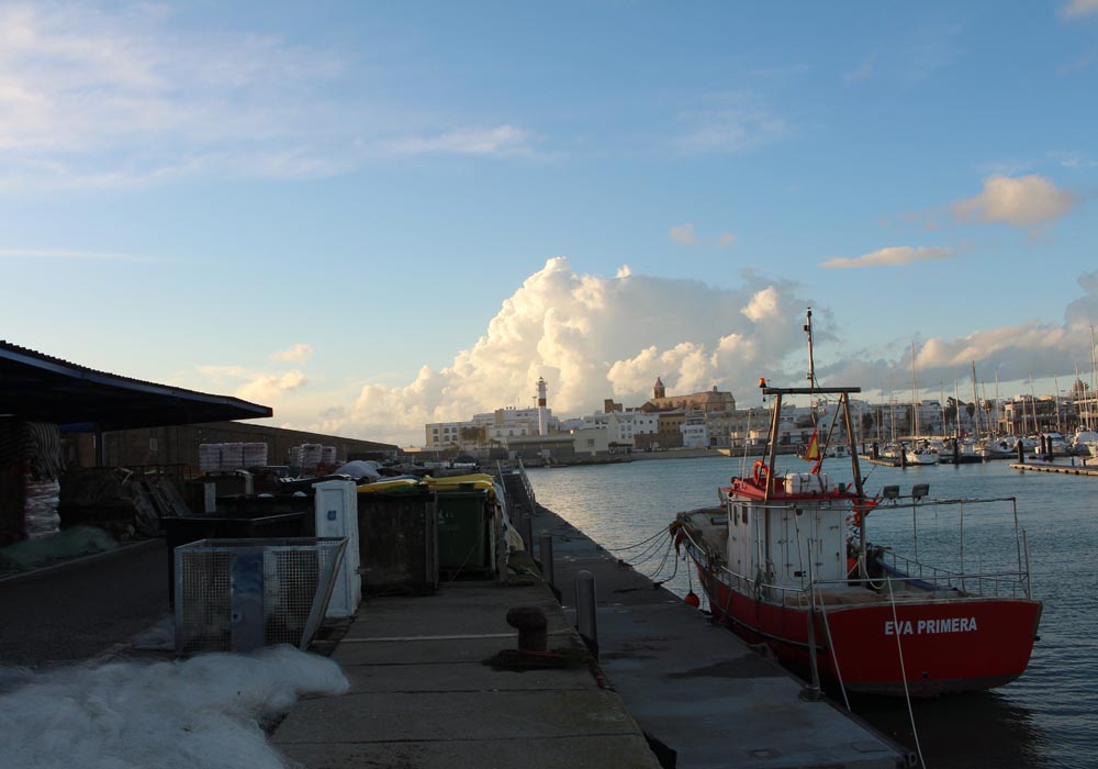 Muelle pesquero y embarcación de artes menores