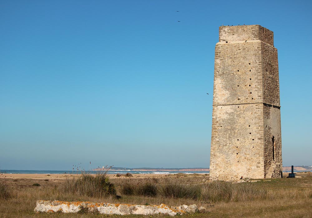 Torre de Castilonovo