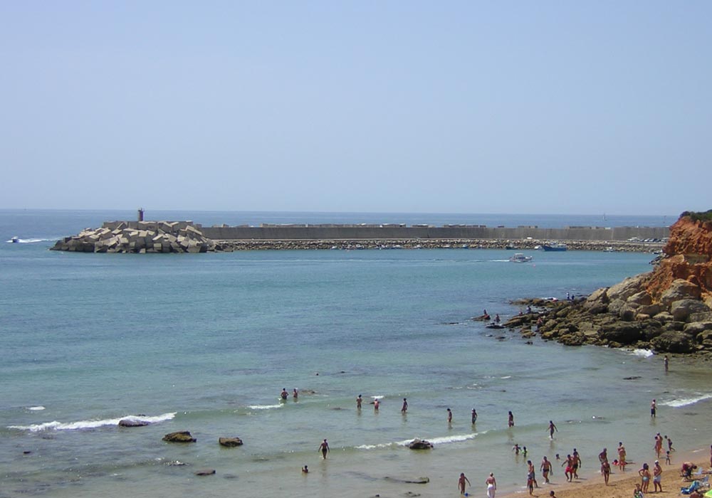 Vista del puerto desde la Cala del Aceite