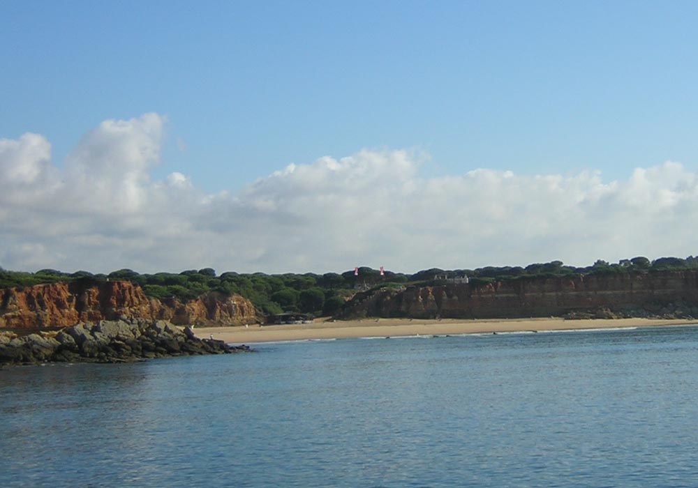 Vista de la Cala del Aceite desde el puerto