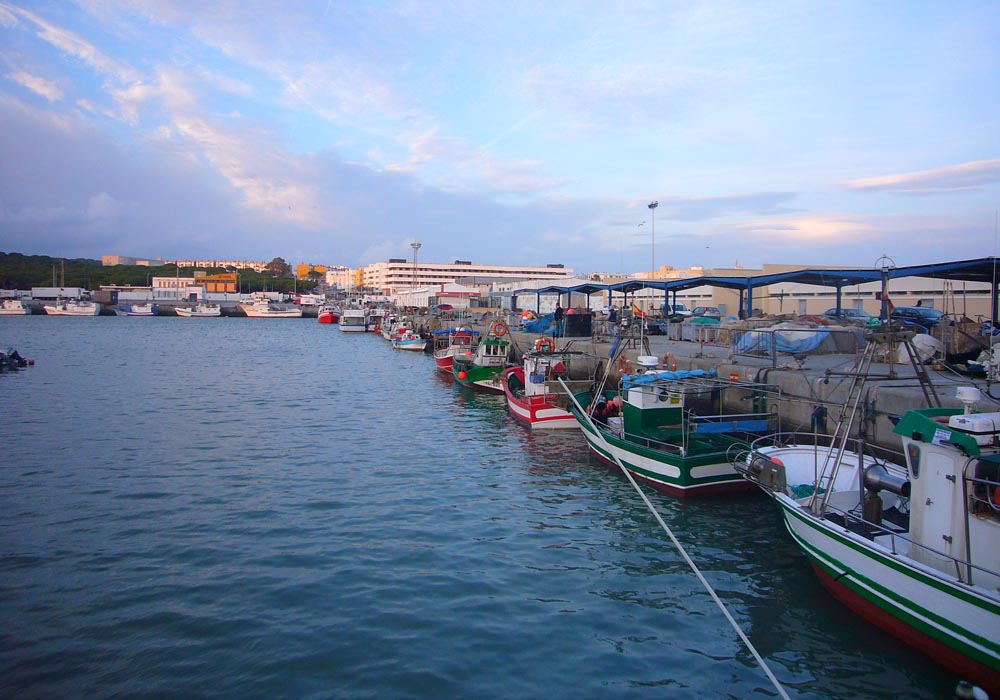 Vista del muelle de atraque y toldo de redes