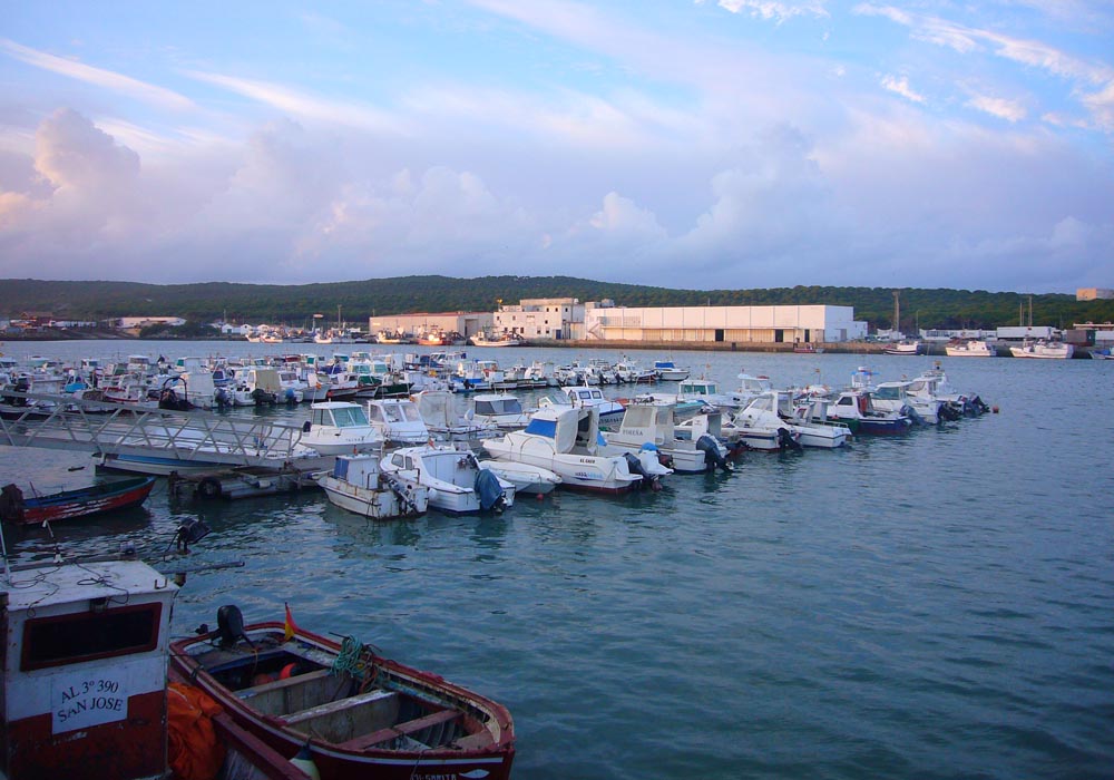 Pantalanes club de pesca Pensionistas y club de pesca deportiva La Corvina