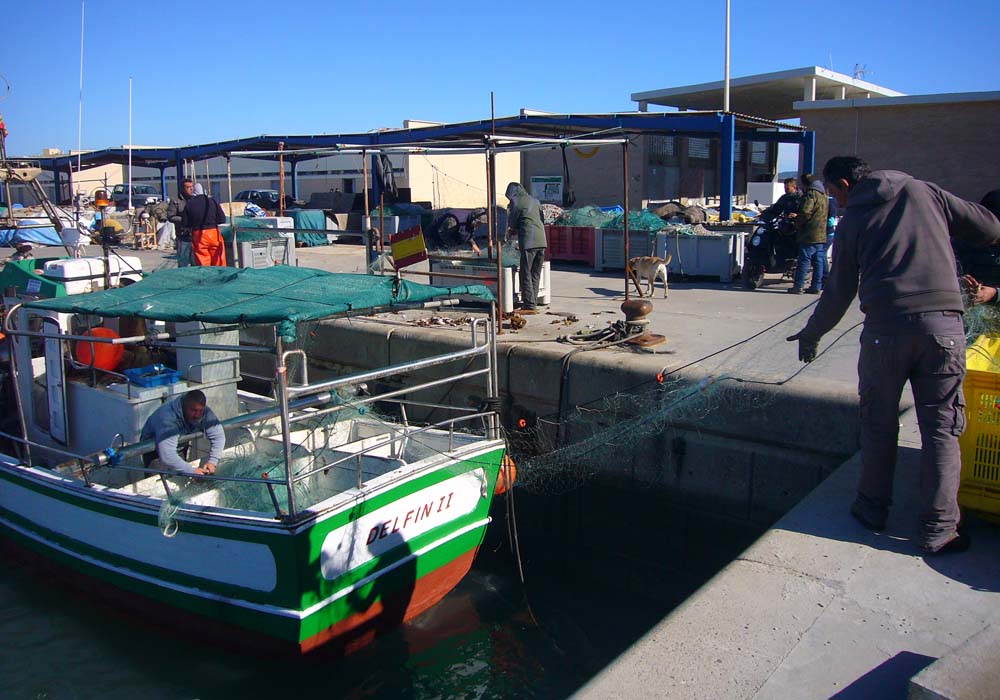 File:Botes de luz sardineros, para la pesca de cerco.jpg - Wikimedia Commons