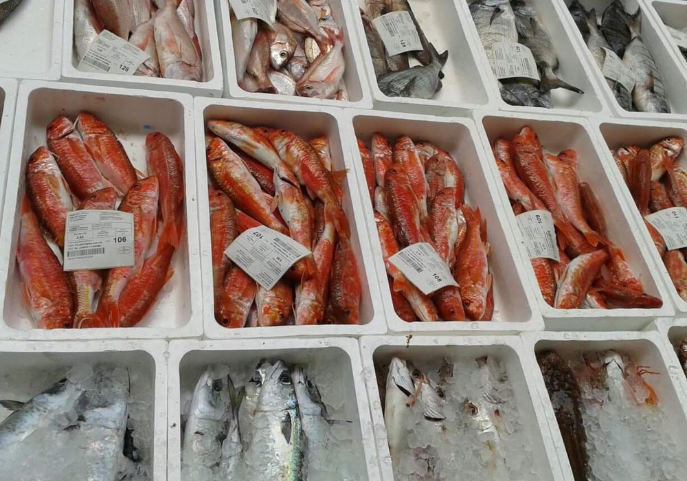 Cajas de pescado para subasta