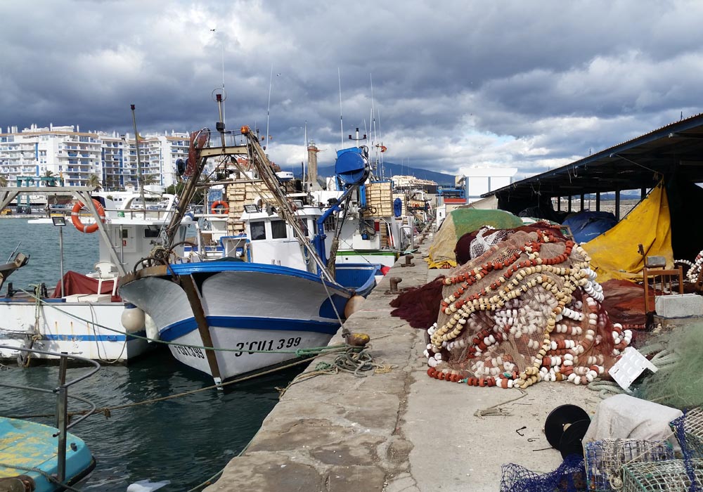 Muelle pesquero y tendido de redes