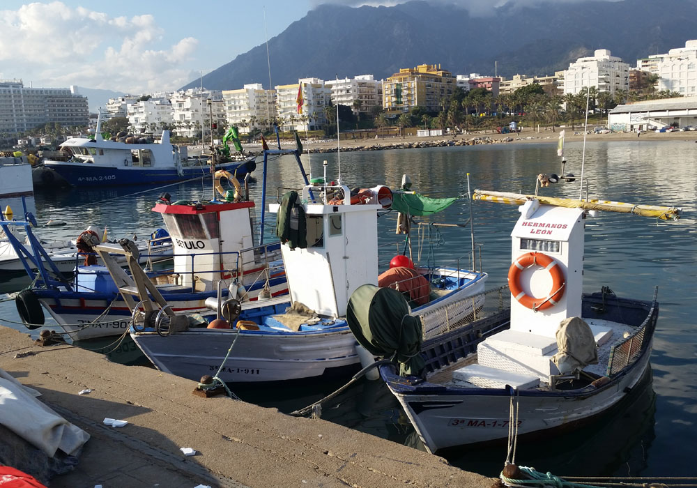 Pesqueros de artes menores