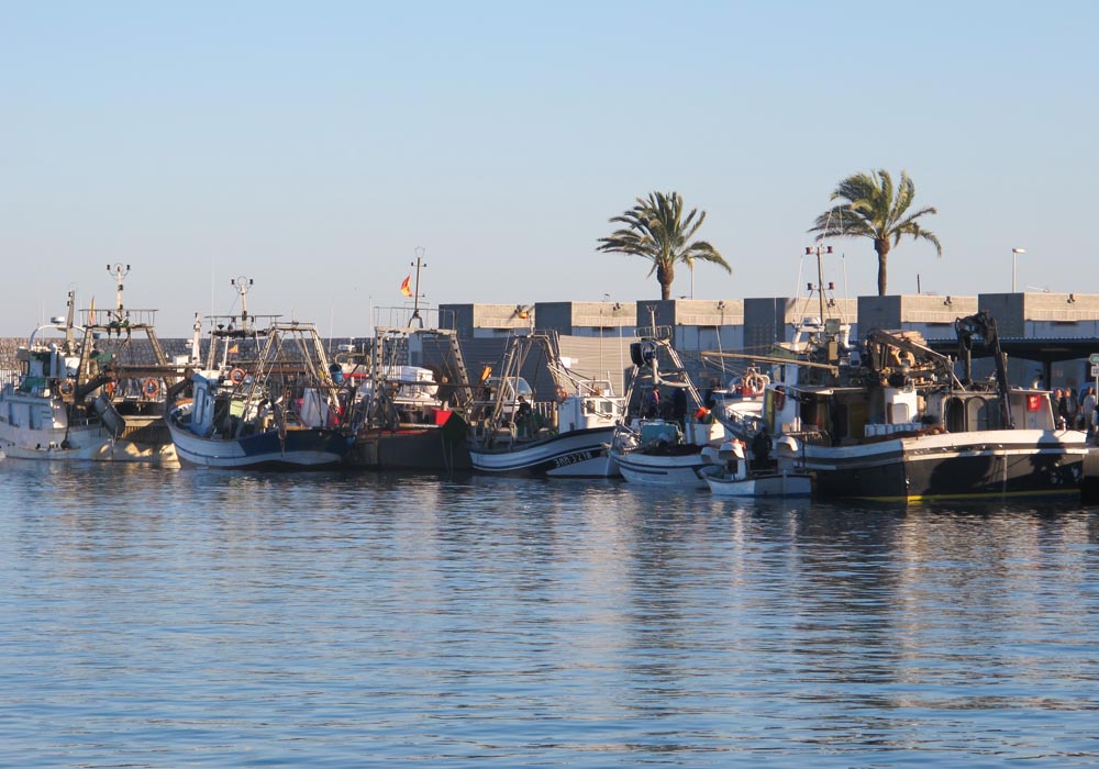 Flota de cerco y de arrastre