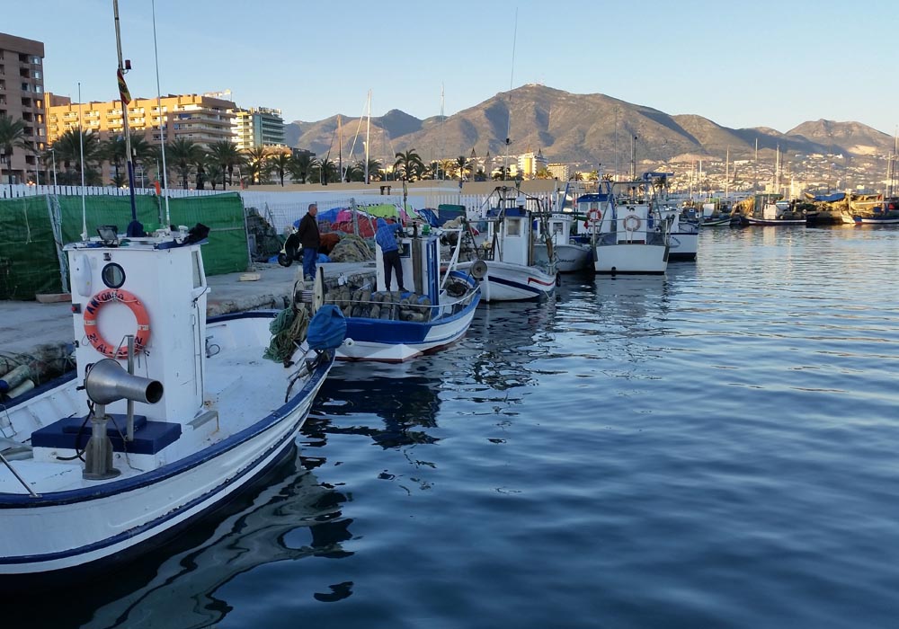 Pesqueros de artes menores a lo largo del muelle