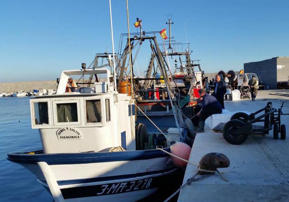 Embarcaciones en el muelle pesquero