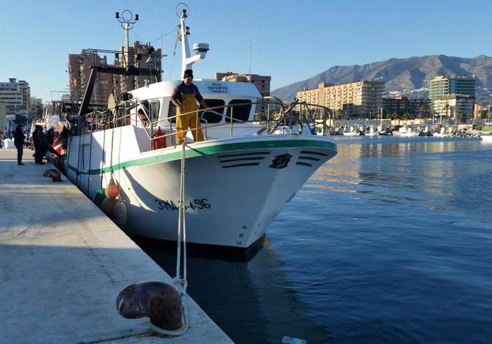 Arrastrero atracado en el muelle