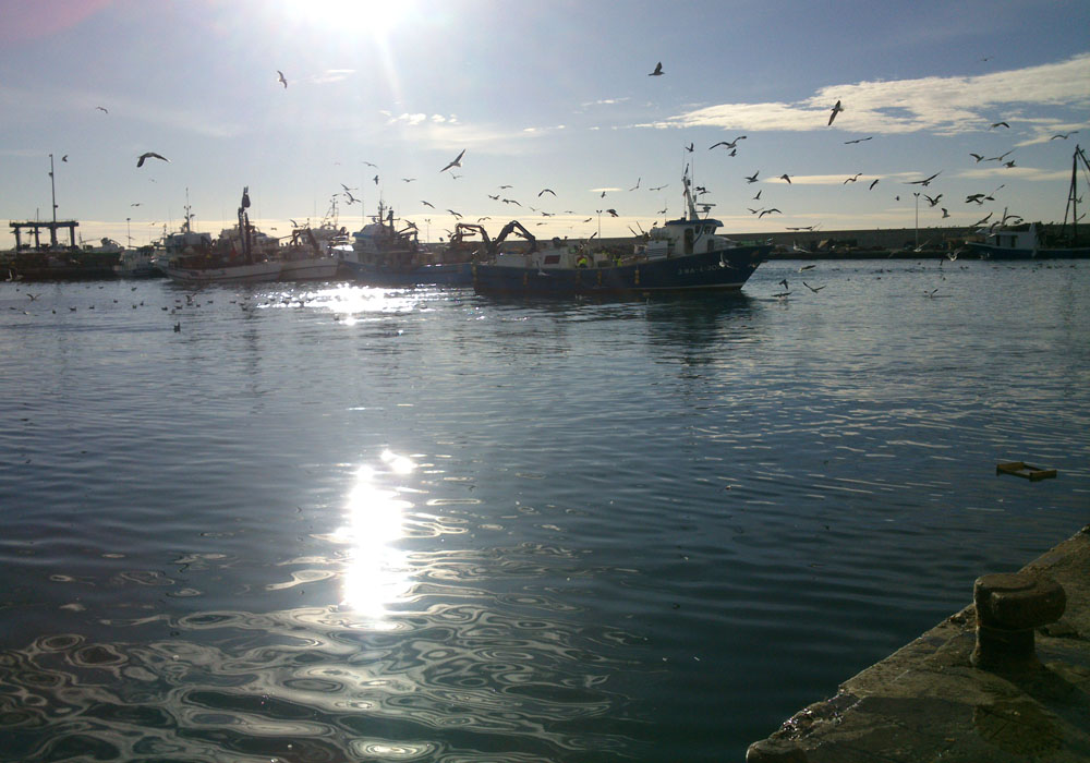 Traíña llegando al puerto