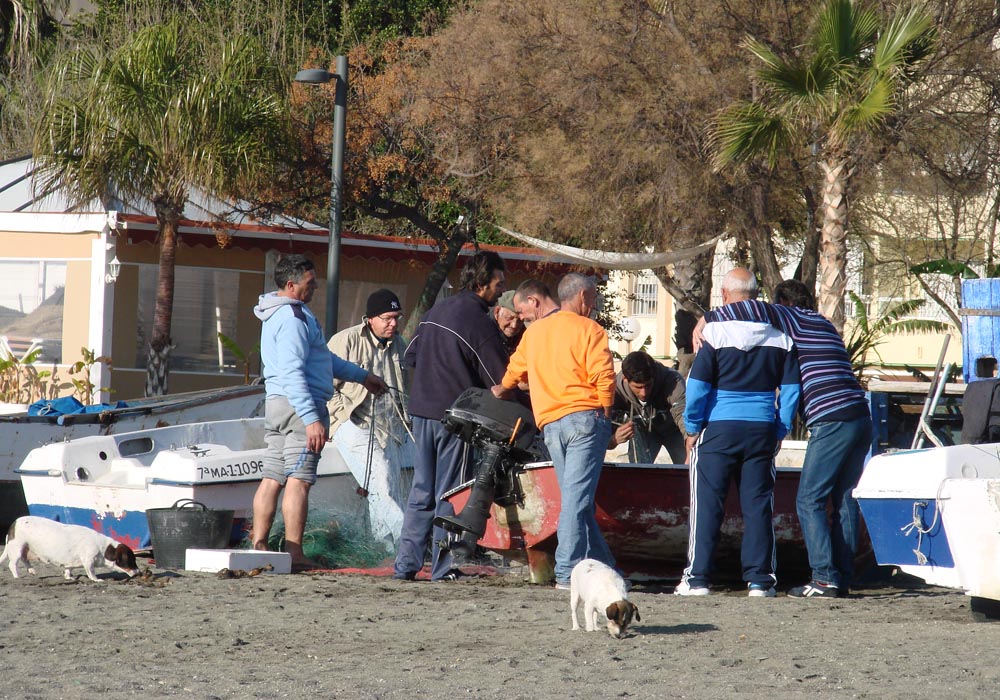 Reunión de pescadores en Torre del Mar