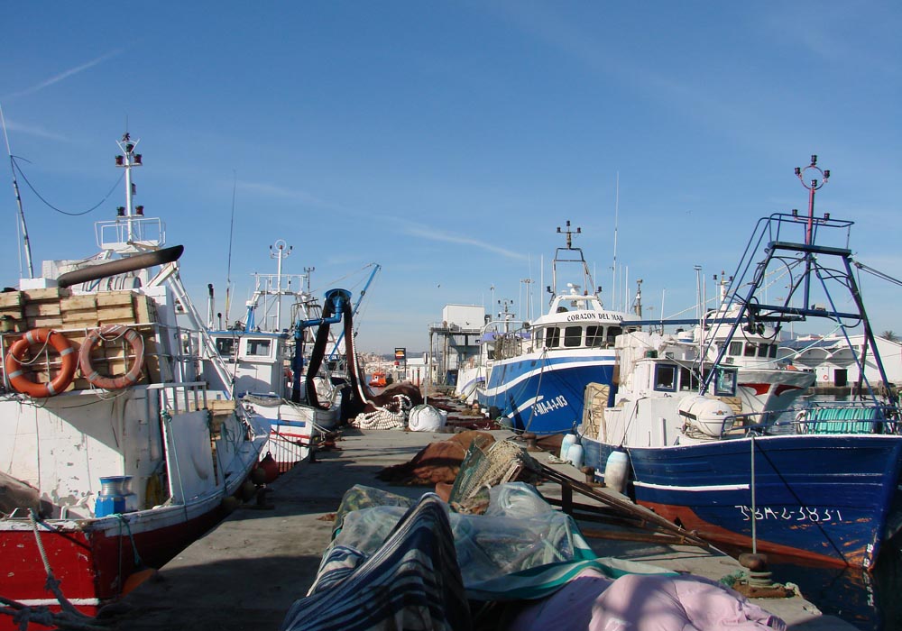 Traíñas en el muelle