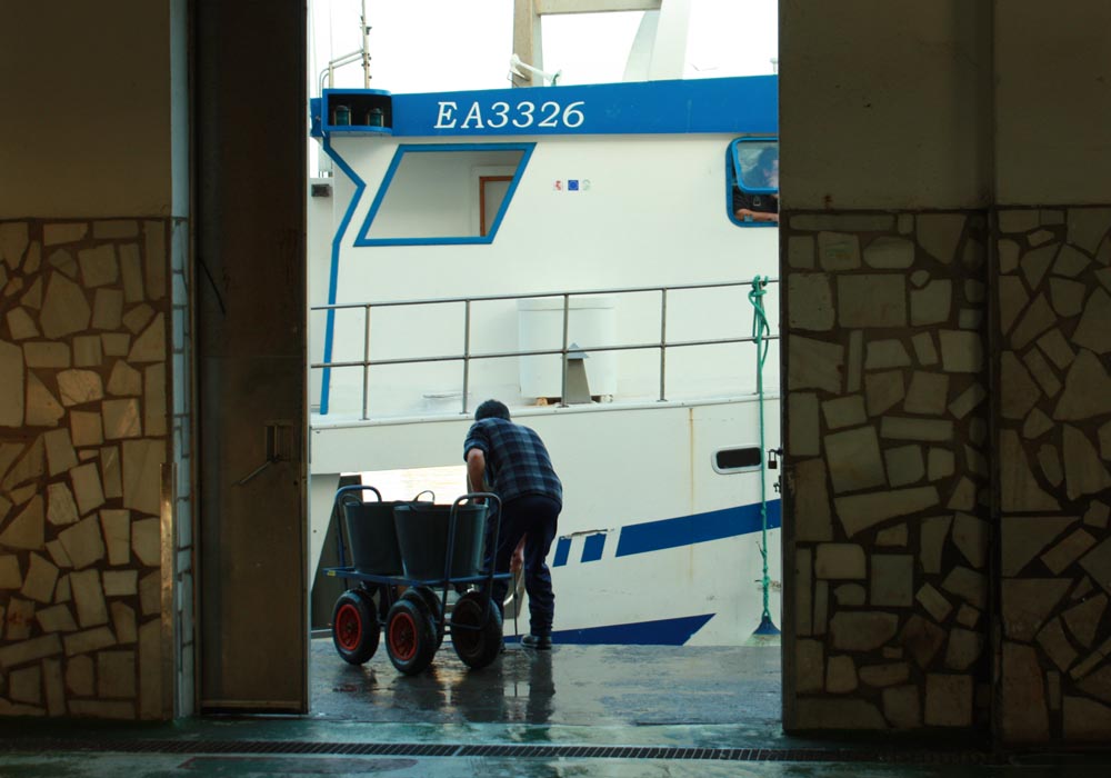 Alijo del pescado entre el cantil del muelle y la lonja