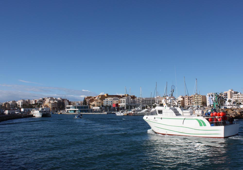 Marrajera llegando a puerto