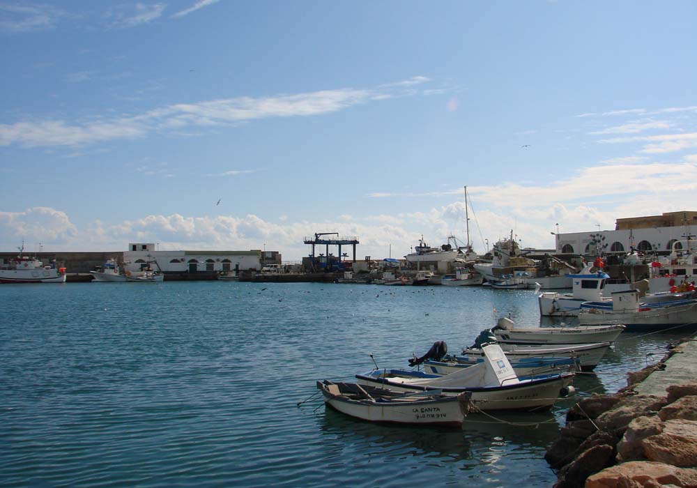 Panorámica de la lonja y el varadero