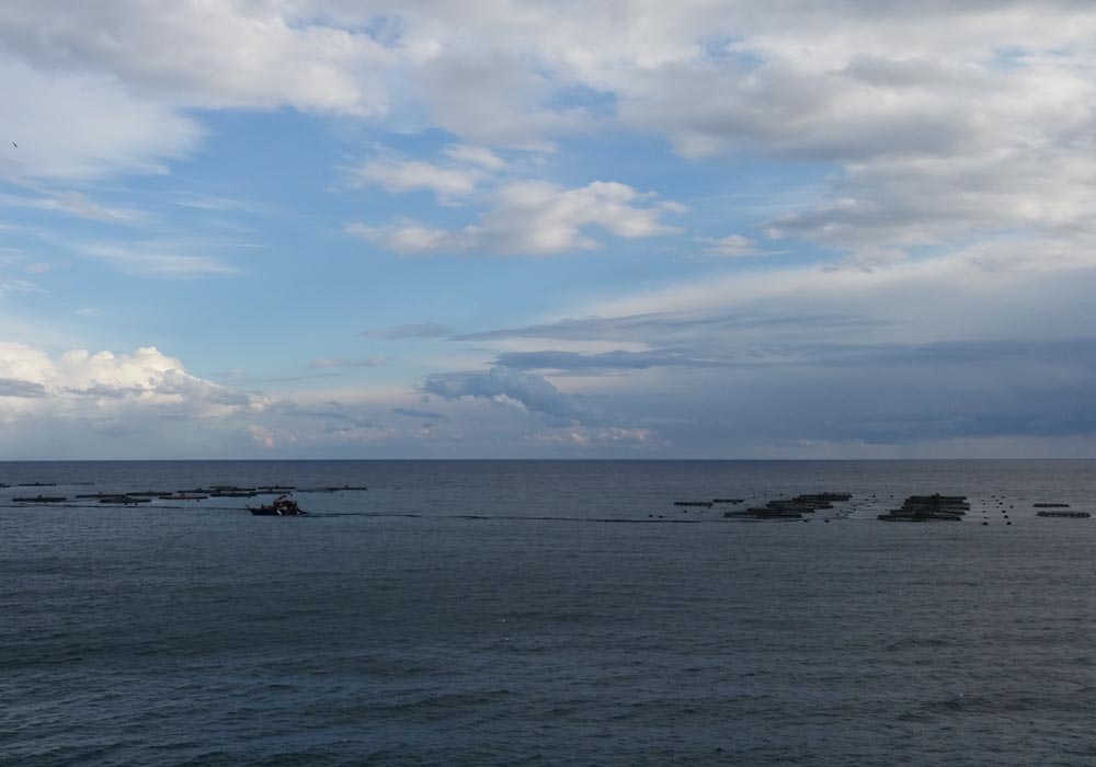 Jaulas flotantes de la piscifactoría Aguadulce