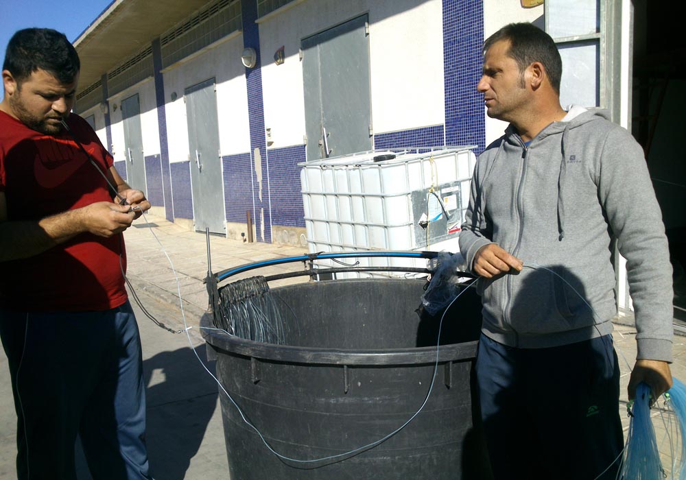 Armando palangre junto a los cuartos de armadores