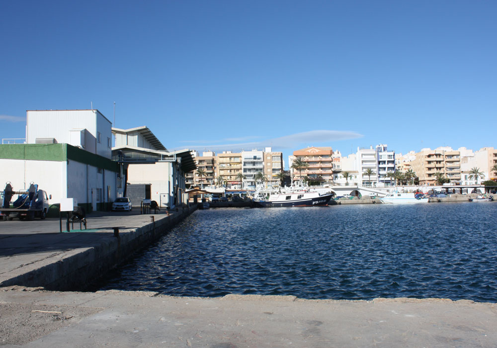 Vista del puerto pesquero desde el contradique